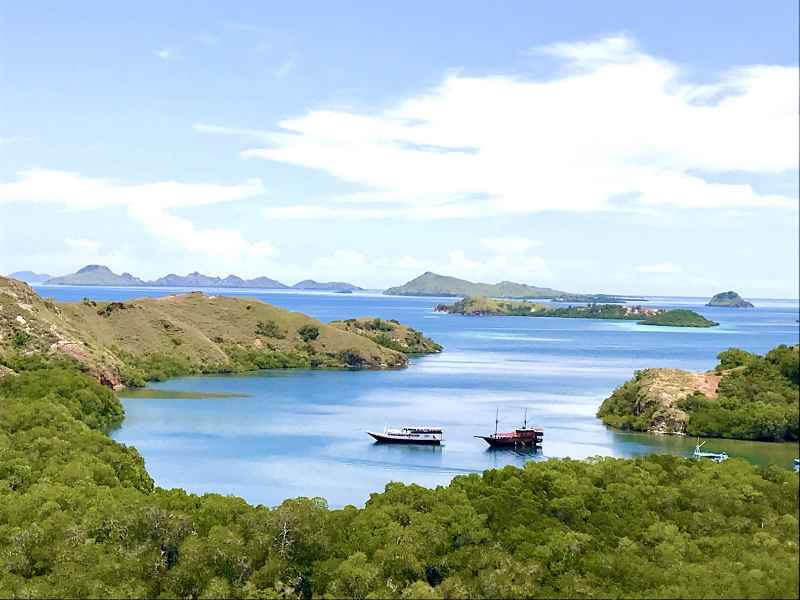 yc gallery bali komodo 24